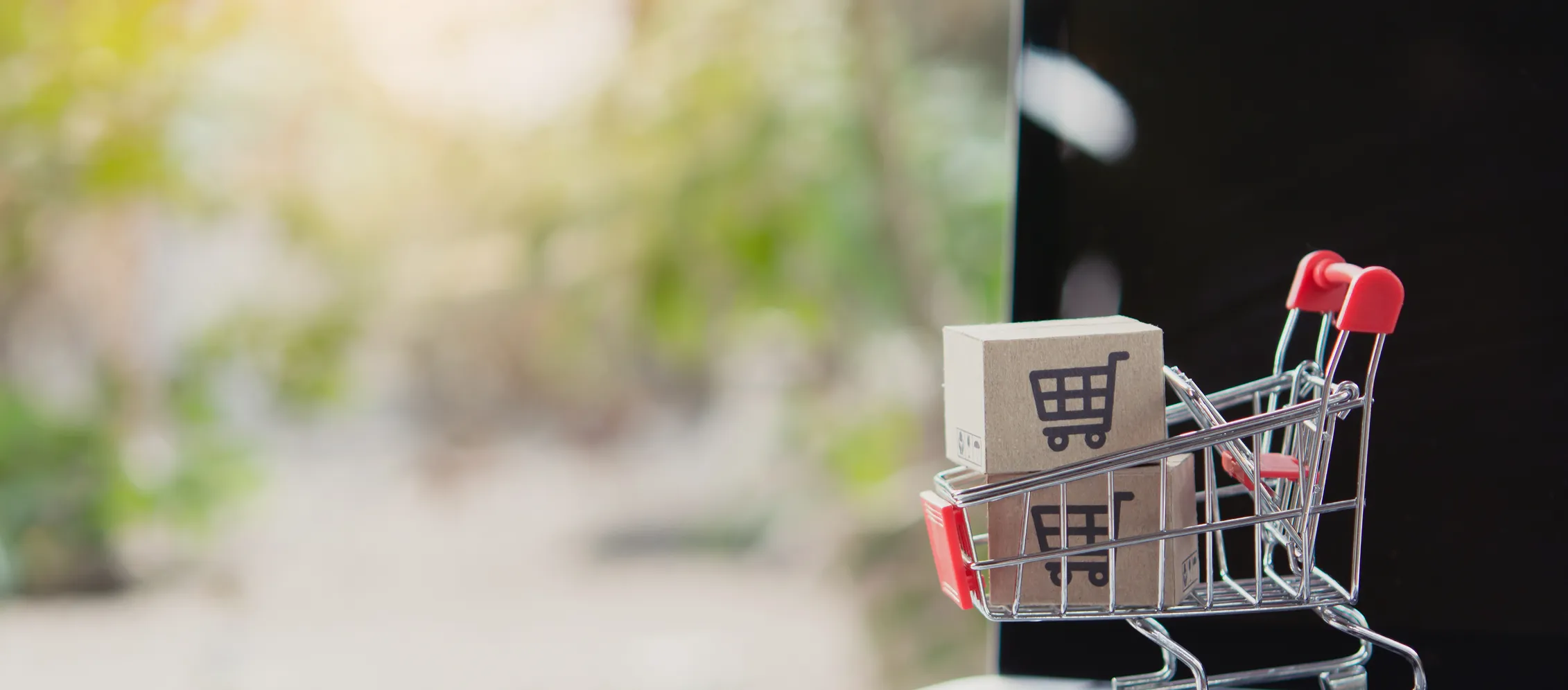 E-commerce Businesses